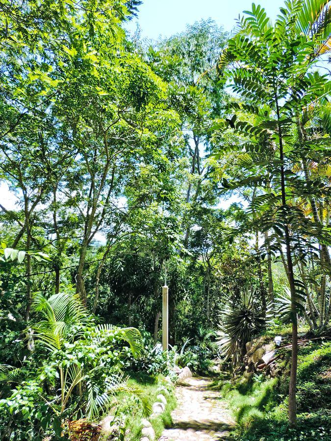 Yacumaman Sanctuary Villa Tarapoto Dış mekan fotoğraf