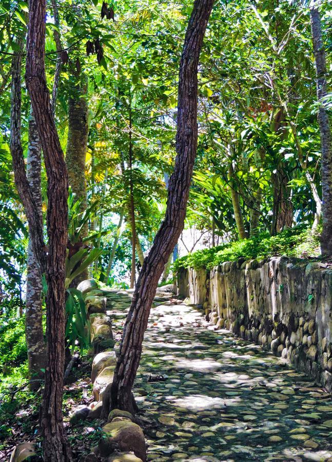 Yacumaman Sanctuary Villa Tarapoto Dış mekan fotoğraf