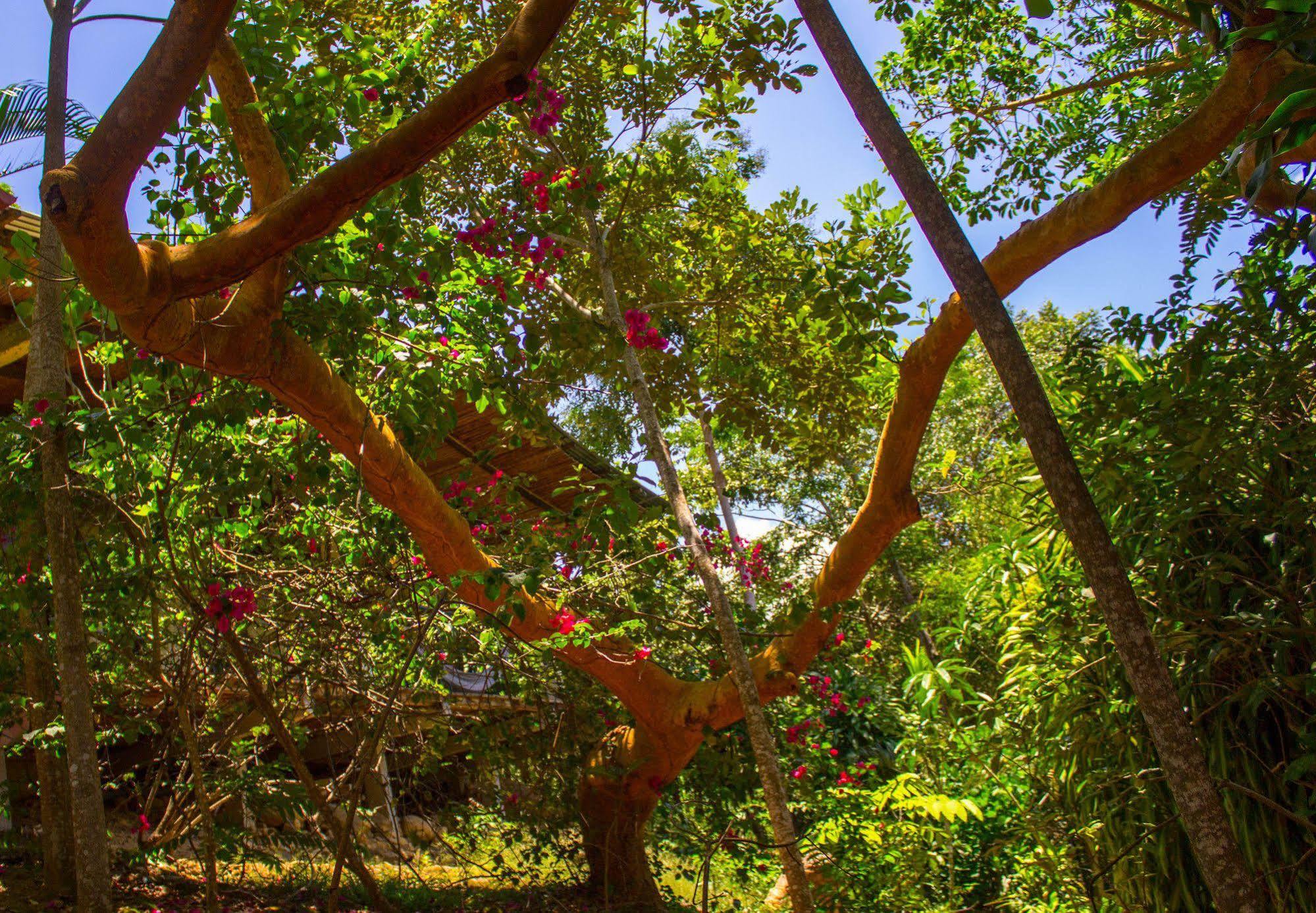 Yacumaman Sanctuary Villa Tarapoto Dış mekan fotoğraf